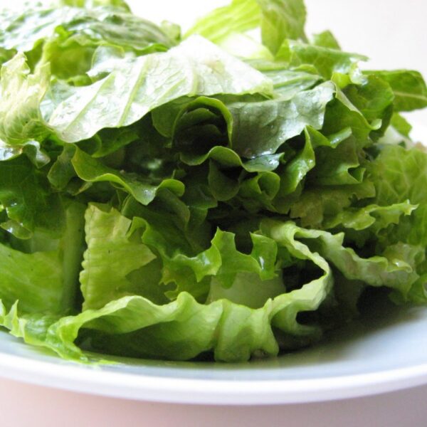 Insalata Verde